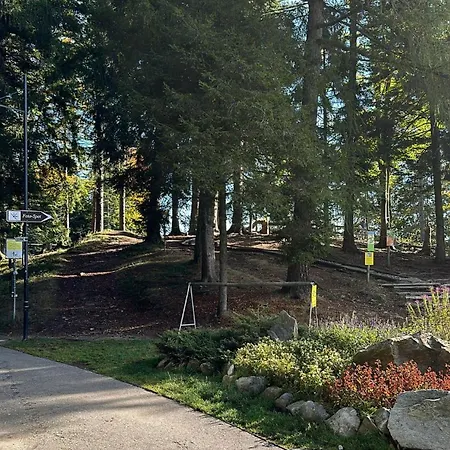 City Lodge Locarno شقة *